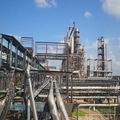��� ��������� Etingale Management ���������� ������ ���������
