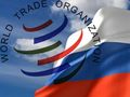 Вступление РФ в ВТО может негативно отразиться на производителях бытовой техники