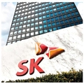  SK Group       
